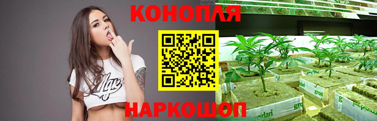 Бошки марихуана семена  Вход с VPN  Каннабис семена  Миллерово  Бошки Шишки тримм 